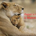 Festa della Mamma: auguri a tutte le mamme!